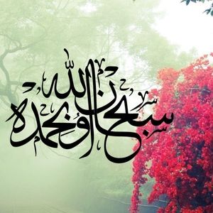 Meet your Posher, Mona